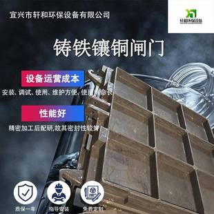 铸铁镶铜闸门工厂直销水利渠道铸铁闸门双向止水铸铁渠道圆闸门