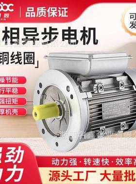 单相步电动机370/立0.7kw/54级异家用705220V铝壳YL低速电机式设