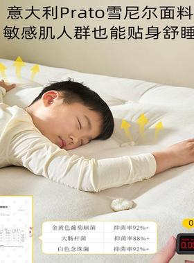 童手WVL工弹簧床垫肌肤敏感人群专用垫子0胶儿水马尾毛床卧垫室家