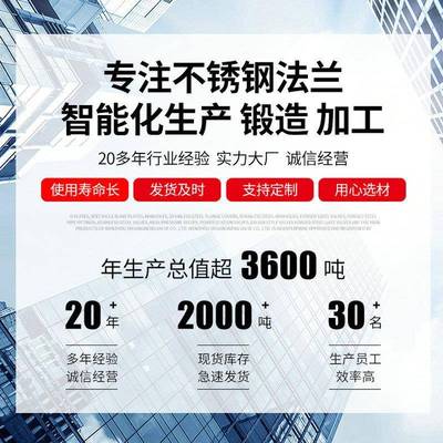 30颈4不锈钢法兰316化工用带非对焊WIJ法加厚P兰N160标法兰定制