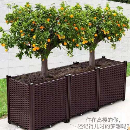 箱阳菜种植箱长方形塑料种菜神/BCAb9FG蔬器台楼顶种花种树户外庭