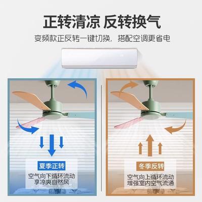 家餐厅客用音厅电风扇卧室幼儿园静吊顶电扇572童房大儿风力无灯