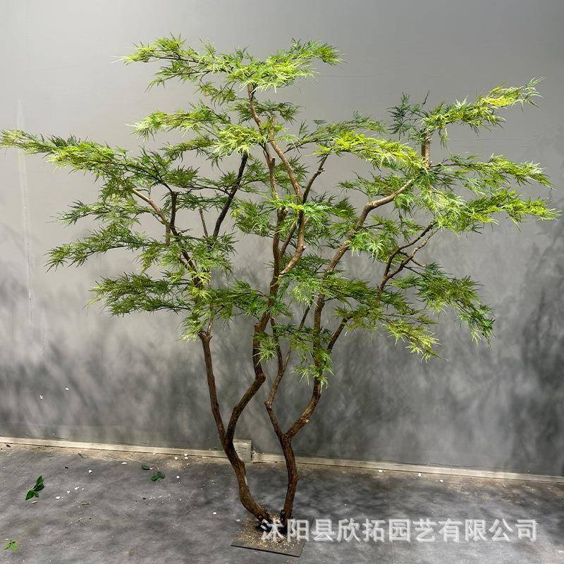 羽毛枫01精品真毛枫枫叶树羽室内假绿植仿造景装饰树中式仿生简约