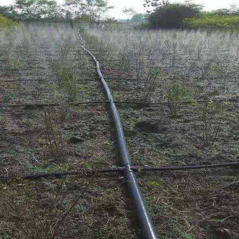 农用微喷喷SYF带灌滴管带雾化带节水喷水园林绿化塑料软管1带带-4