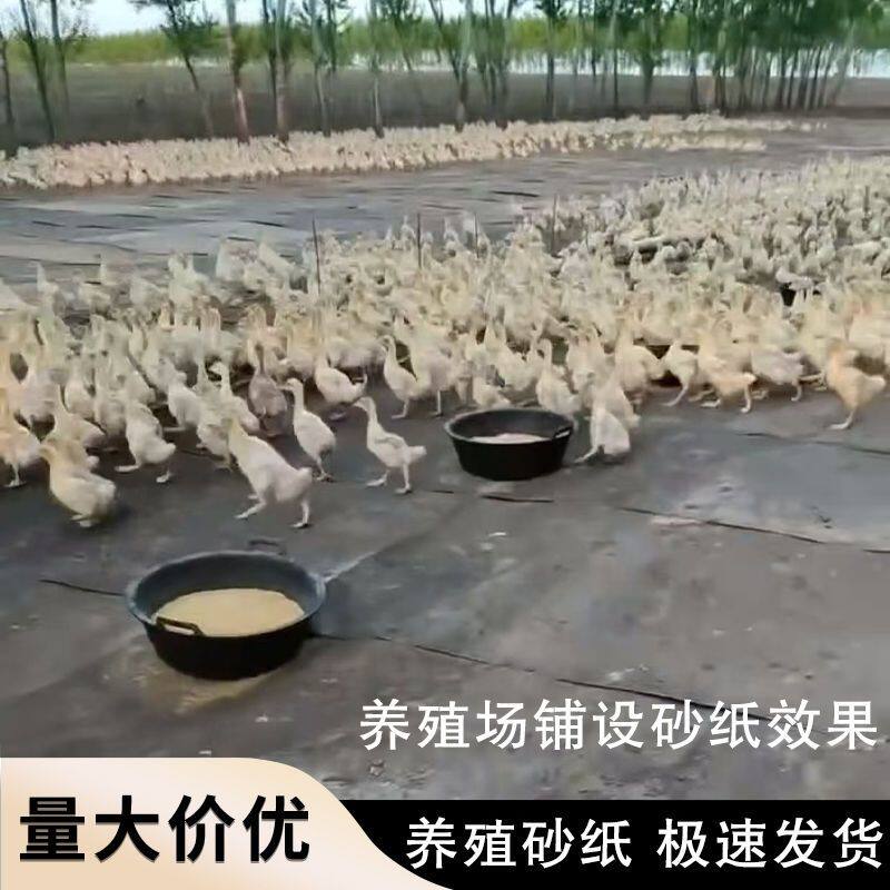 养殖砂纸养鸡鸭鹅铺地砂纸旧砂防草布代替地面硬化宠物垫养鹅砂纸