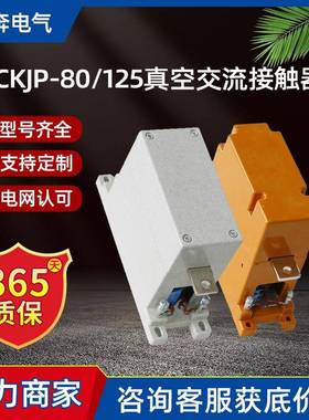 CKJP-80/125/250/400真空交流接触器单级户内路灯专用控制器1140V