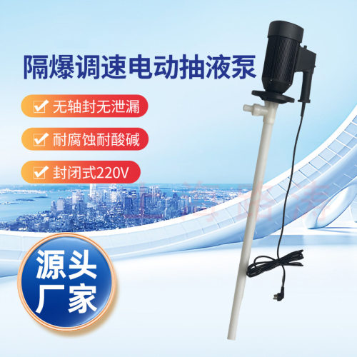 HD-ENC2-V+PPHT-1000HC隔爆式调速化工插桶泵耐酸碱电动油桶泵