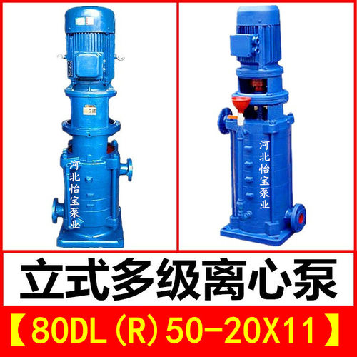 80DL50-20X11立式多级泵DLR型热水增压管道离心泵高层建筑给水泵