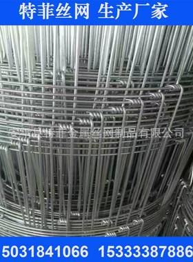 特菲供应7根丝1.245米20cm牛栏网镀锌铁丝网草原网养鹿网