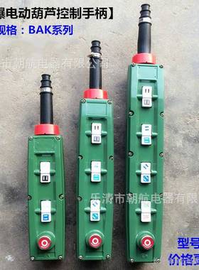 防爆按钮BAK2131防爆控制手柄行车/起重机电动葫芦开关