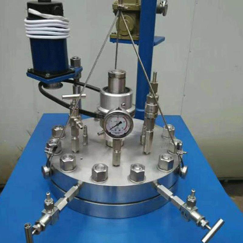 加高不锈钢高压应反釜CJCJF系列-F实验室小型温反应釜磁力搅拌热,工业油品/胶粘/化学/实验室用品,反应设备,淘宝优惠券,粉丝福利购,淘宝优惠卷