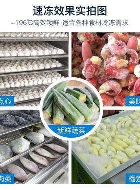 2商用小型冻液氮速冻机10/0盘87930海鲜包子急速冷柜榴莲海参速冻