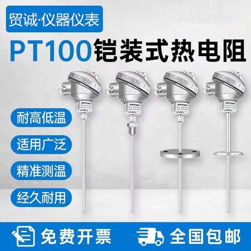供应WZPK2-595铠装热电阻pt100  -200~500（℃）A/B级 热工仪表