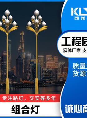 8米9米15米八叉九火玉兰灯户外公园广场景观LED组合灯