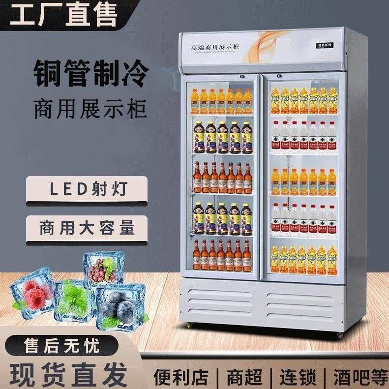 立式冰柜冰箱单门啤酒柜超市饭店双门饮料柜商用保鲜柜冷藏展示柜