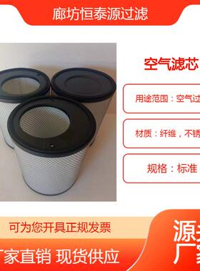 恒泰源过滤SNR175240000风机偏口空气除尘纤维滤筒DN100/125