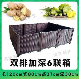 种菜屋ka150专用箱阳庭台楼顶种菜果树专用盆顶双排种植家箱加高