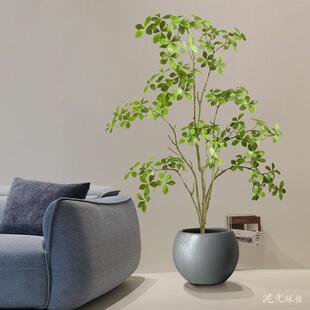 仿真绿件植栀子绿树客厅装饰ZZS店摆大型落地植酒民宿装饰假树假