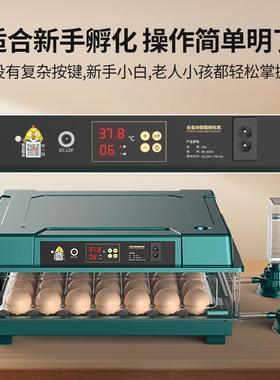 家用孵鸟化器EOE鸡化鸭鹅鸽子芦丁蛋孵机器孵化箱