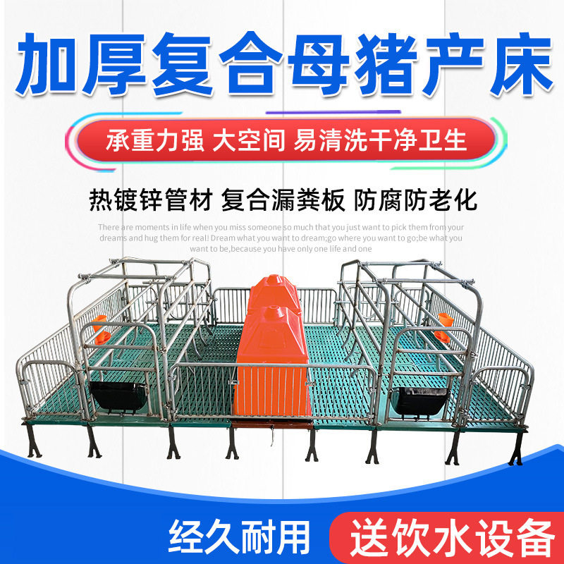 母猪产床保育两用复合板大小仔猪崽限位栏漏粪板保温箱料槽分娩床