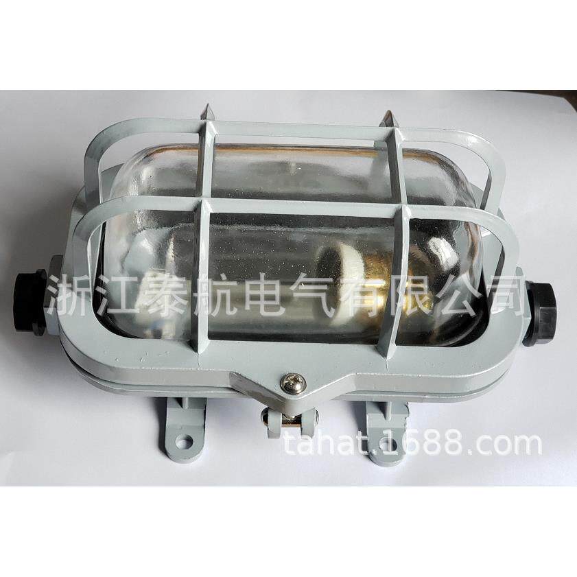 船用顶灯CCD2-1-2