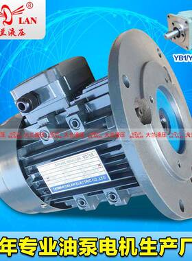 6极立式YB1油泵电机大兰DALAN内轴铝壳电机DL-801-6/B5-0.37KW
