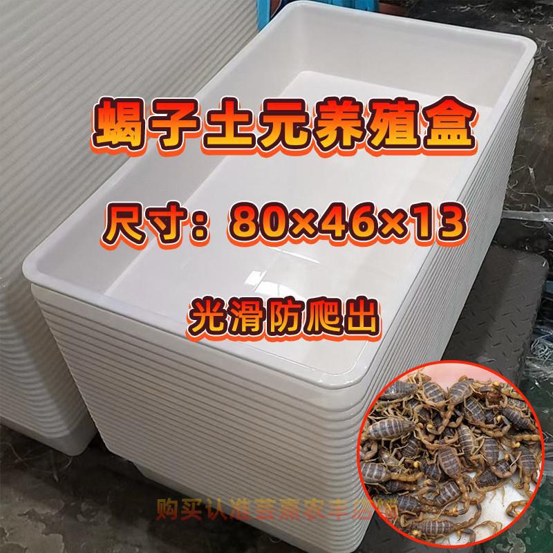 摔育肥耐盒蝎子饲养盒养殖厂家直销单体加厚光滑土元熟料