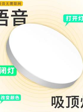 全光谱护眼LED智能语音无需连网声控遥控离线定时三防吸顶灯道