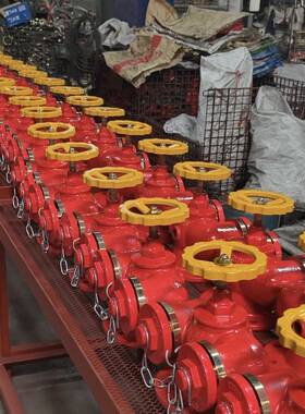 颖防杰BXE消防SD100新型水泵接合器DN0Q0多用式地上式消水泵接合1