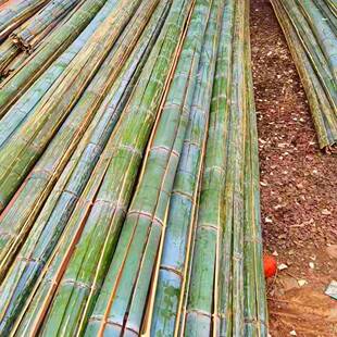 条DKK小竹片竹菜棚拱棚子坯子断栅栏片竹子蔬菜毛竹隔架竹条骨架