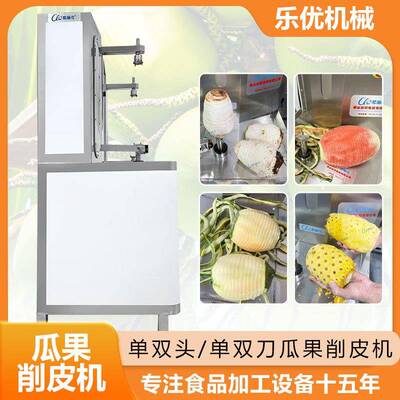 大型椰子削皮全自气动立式不钢RCC机一键冬瓜动凤梨菠萝削锈皮器