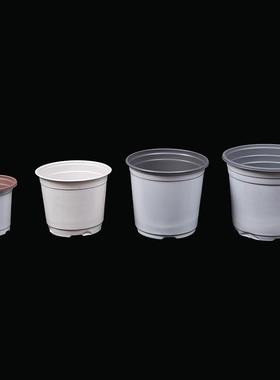 货双源供应盆P栽双色花盆01P塑花料白盆多肉育苗盆简易紫色蓝色色