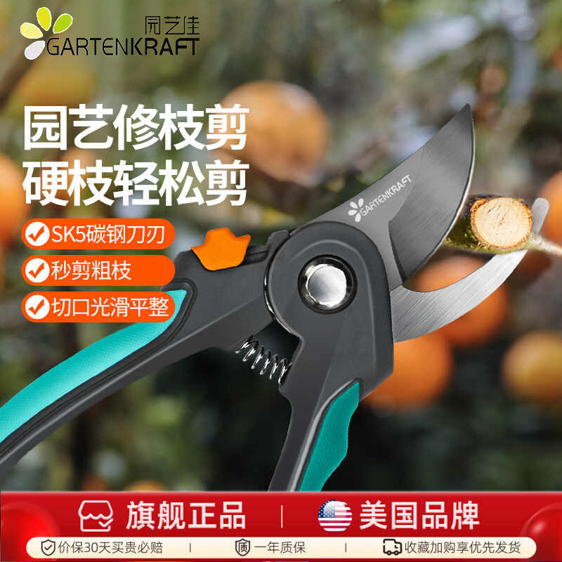 园艺佳修枝剪园林家用花剪插花嫁接粗枝剪果树省力耐磨SK5钢剪刀