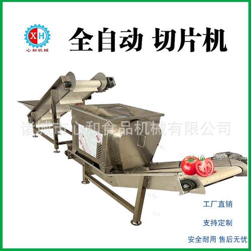 工厂生产大产量根茎类蔬菜切片设备商用小型蒜米荸荠切片机