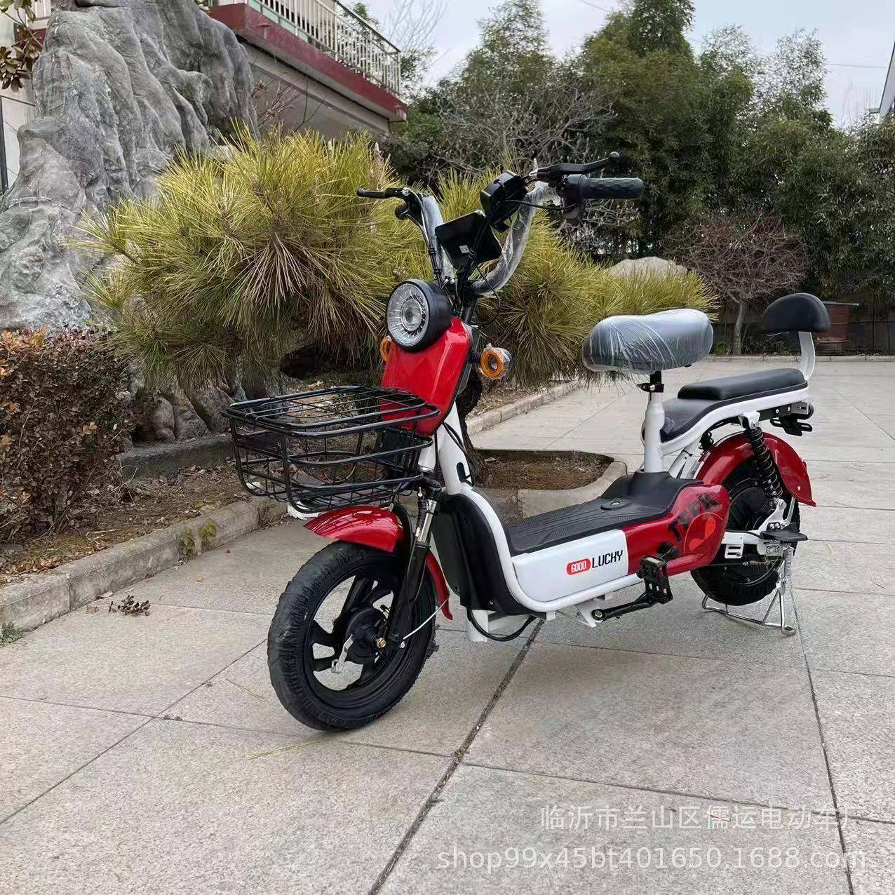 库里南欢乐豆两轮电动自行车电瓶48V车轻便手提电池盒东南亚