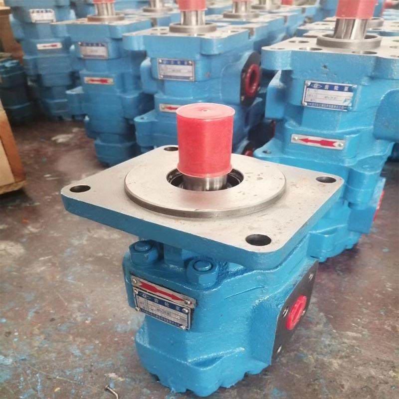 长江双联齿轮泵CBG2160/2160-B2L电厂液压泵高压油泵CBG3160/3140,鲜花速递/花卉仿真/绿植园艺,割草机/草坪机,淘宝优惠券,粉丝福利购,淘宝优惠卷