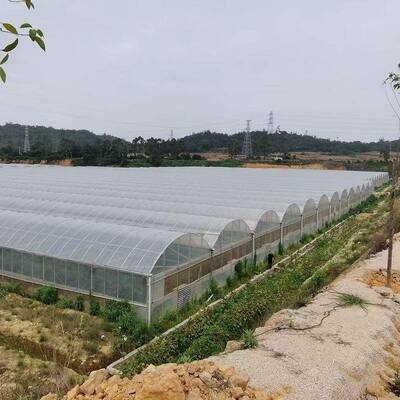 连LRU栋薄膜温室苗暖棚大草莓育外棚遮阳薄膜保温连温栋室大棚骨