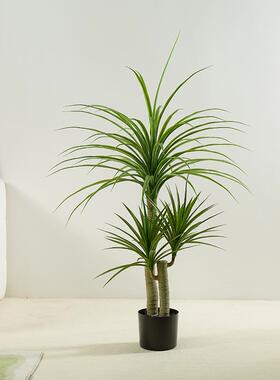 仿YJ-00123真龙血树绿植家居客厅装饰摆件大型落地盆假树植物盆巴