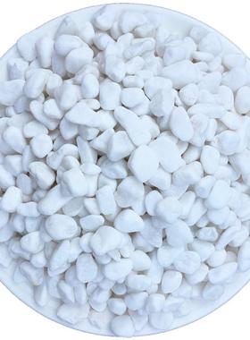 地白色石子花园鹅庭卵石大50造670景斤院白铺观白石子景小石头铺