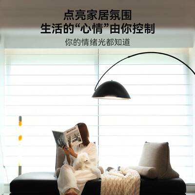 钓鱼落灯客厅轻奢简高级感沙发旁室卧地床头北欧极创49460意落地
