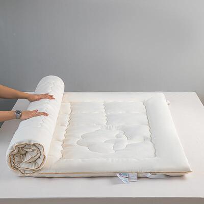 类A榻大豆纤维垫加厚榻米床垫被折叠软垫褥床子学生宿舍地PALS-DM