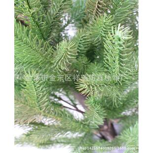 仿真冷杉叶植叶物松秦岭云杉杉盆栽岷江121冷杉果树水兴安落叶树