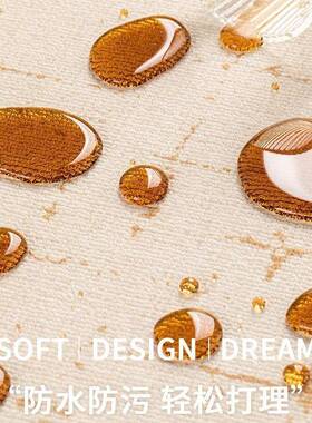 床地毯客厅2025新地款卧室地毯边垫奢OAY大面积全铺房间沙发毯轻