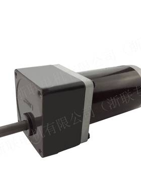 直流调速马流达齿轮Y减速电机速63Z12-36直低LTD小马达