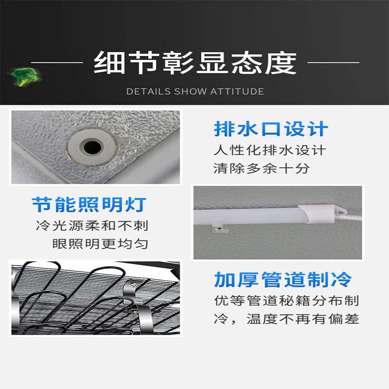 冷冻商用烧烤蔬菜水果保鲜柜789立冷式点菜柜麻藏辣冷烫展示柜柜