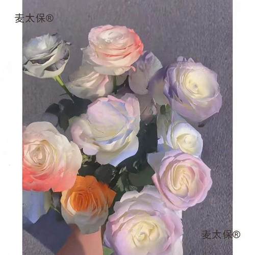 彩喷碎冰金色玫瑰花妍剂花喷漆德喷色色研色蓝欧鲜若WHC拉白色鲜