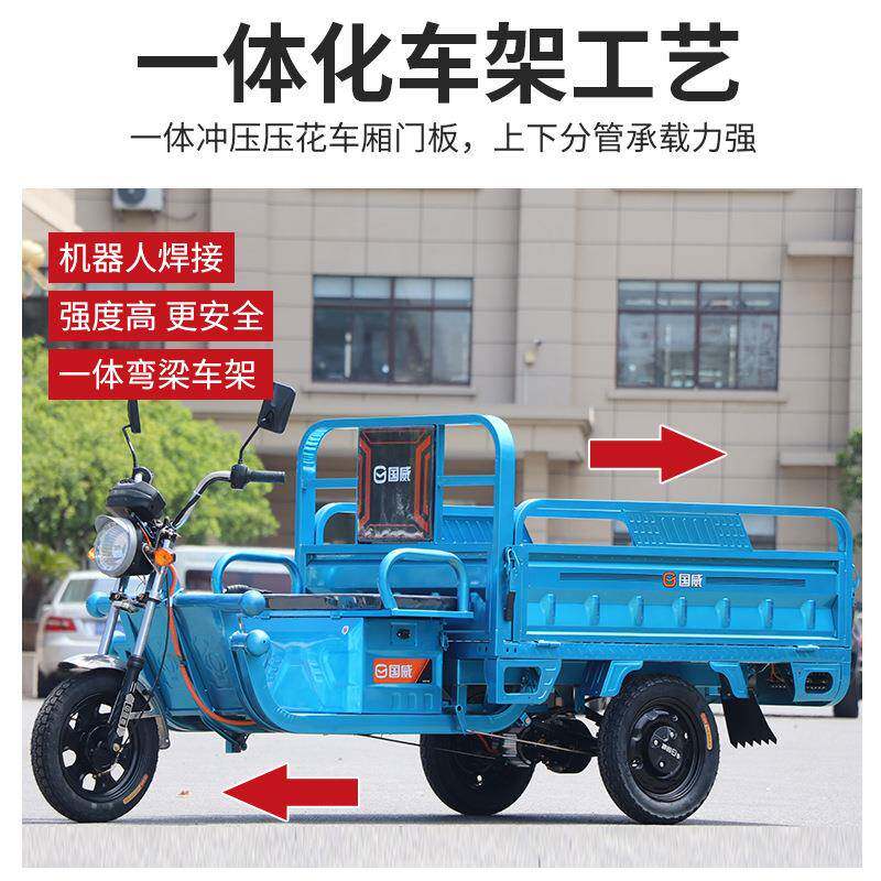 国威动神豹GW18三轮车接拉货家用送功孩子带棚载电重王大率电瓶车