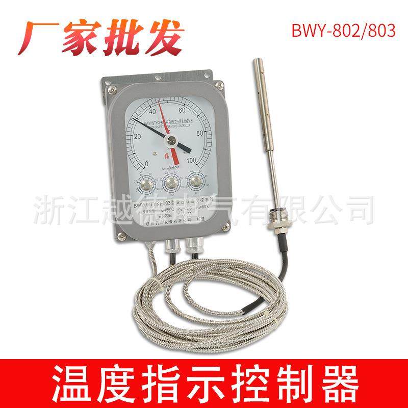 变压器温度控制器专用油面温控器现货BWY-803TH变压器WTYK-803TH,智能设备,其他智能设备,淘宝优惠券,粉丝福利购,淘宝优惠卷