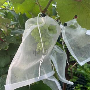 葡套萄袋防鸟防DDX虫果袋驱鸟楼顶庭院水袋透透气光尼龙网袋
