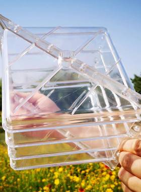 方形西瓜定CUI型生长模15具x1方西瓜5成型模具方直形塑料模具厂家